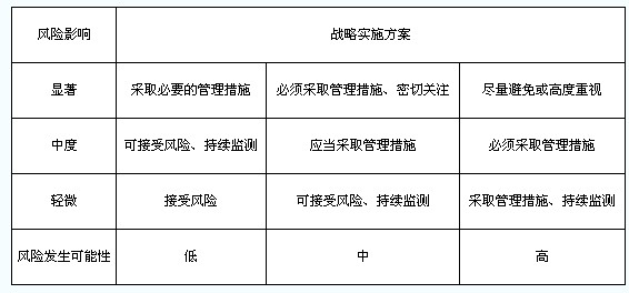 戰(zhàn)略風險評估及實施方案